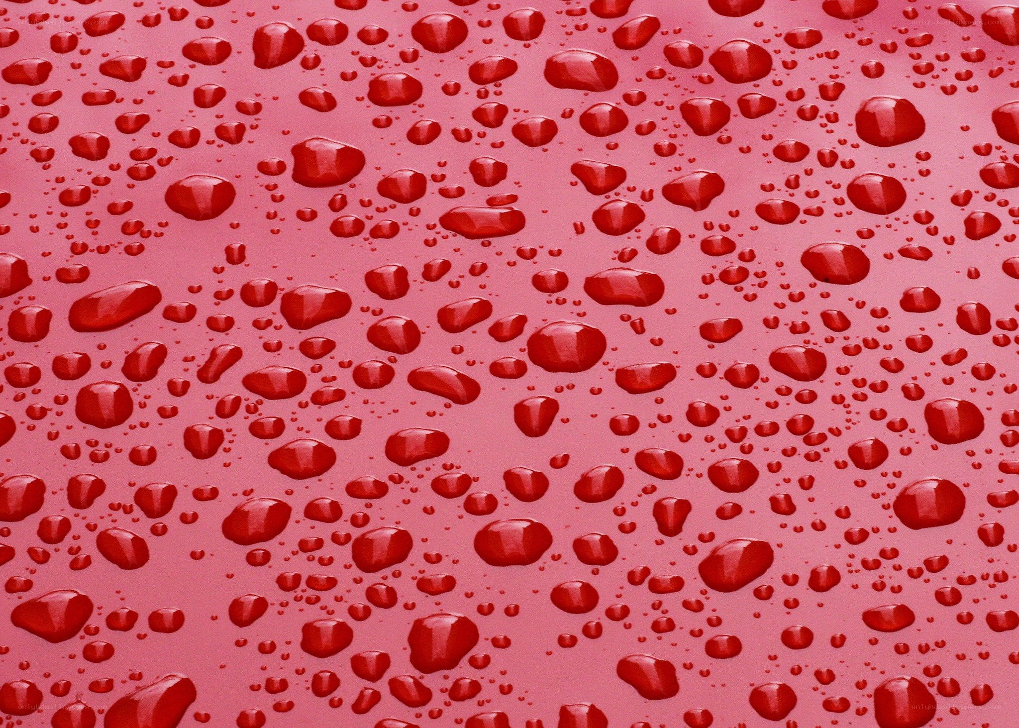 Water droplets on red surface