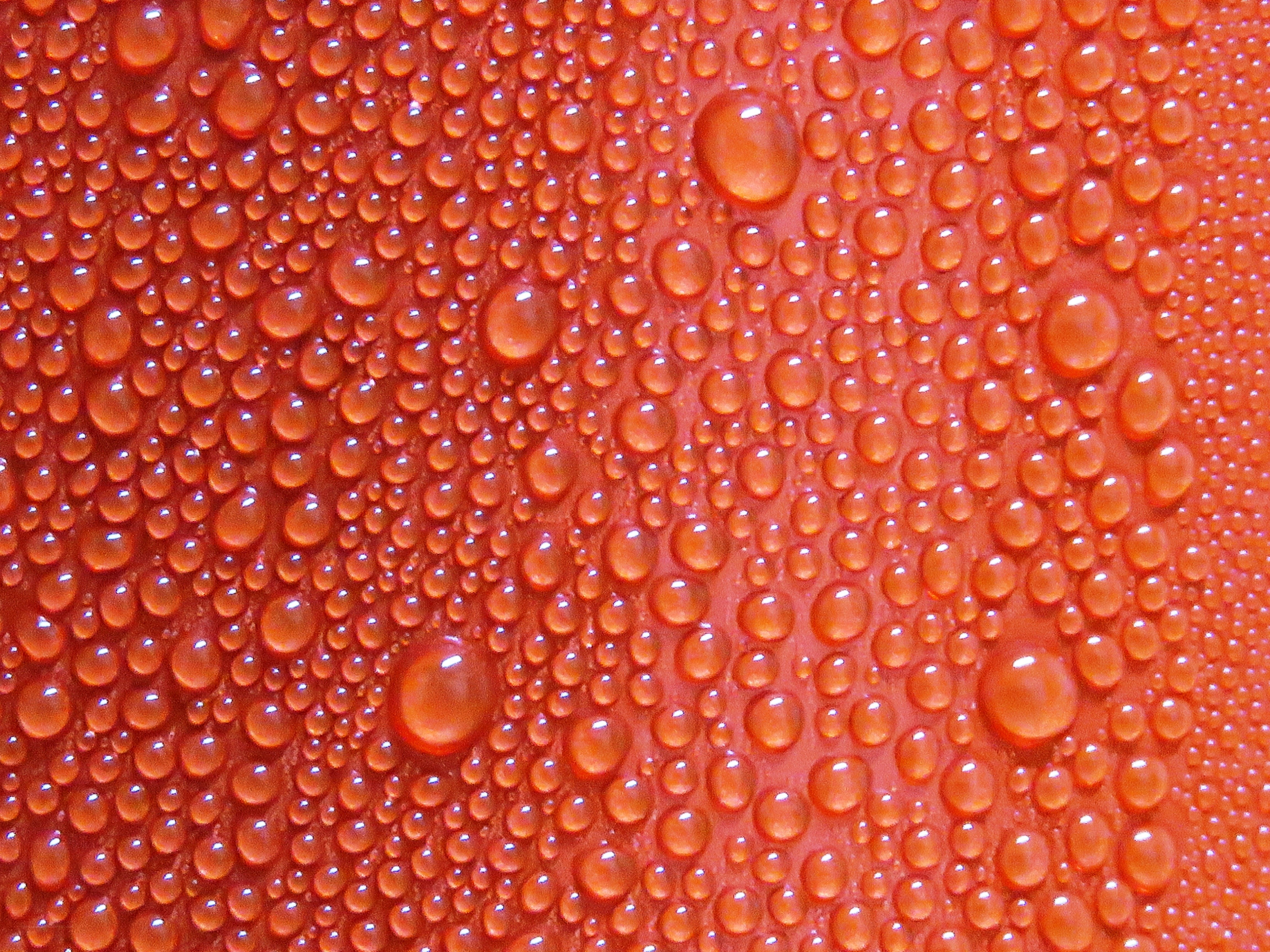 Water droplets on red surface