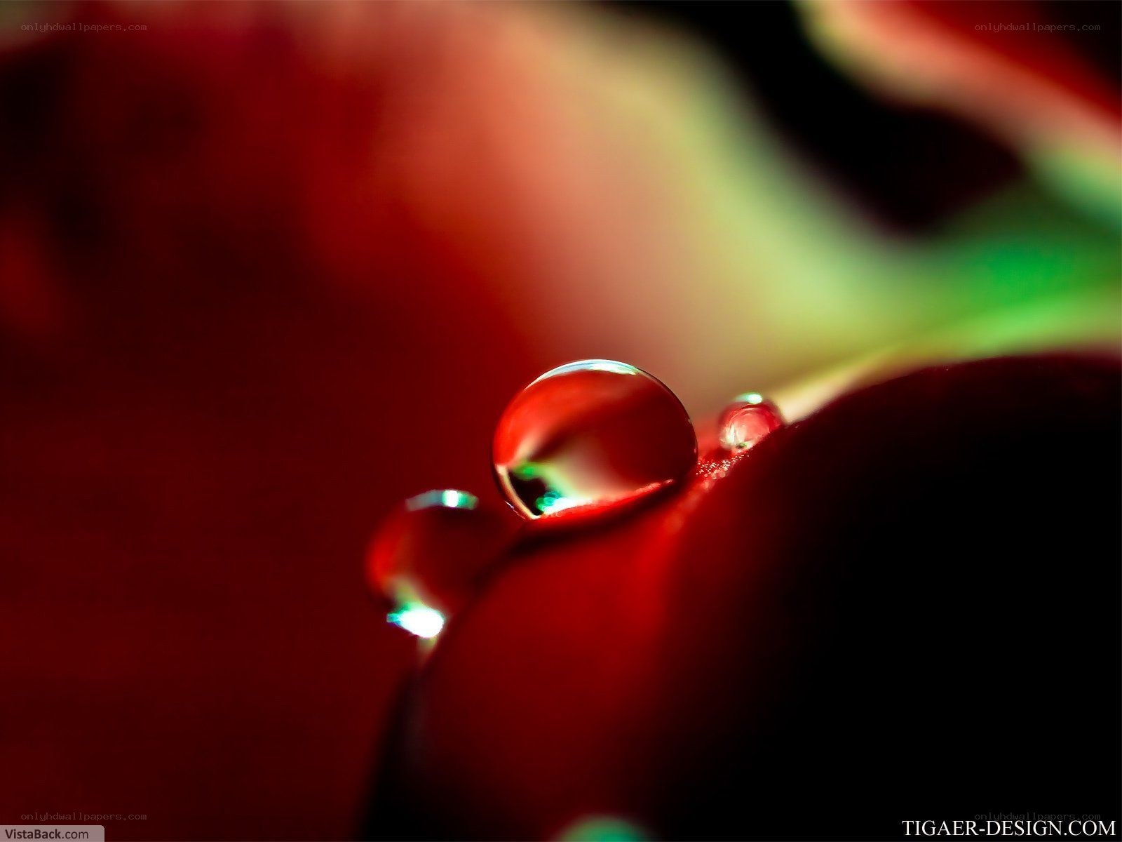 Water droplets on red surface