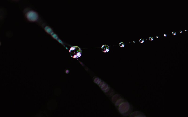 Water Droplets on Spider Web