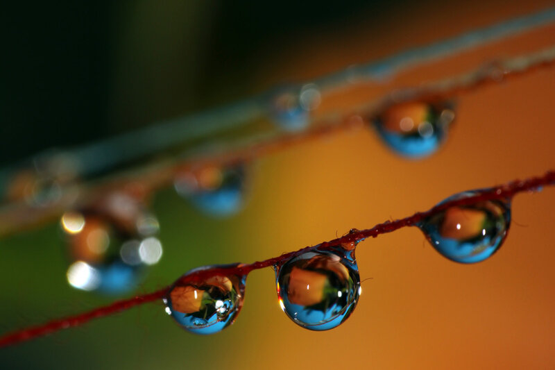 Water Droplets on String