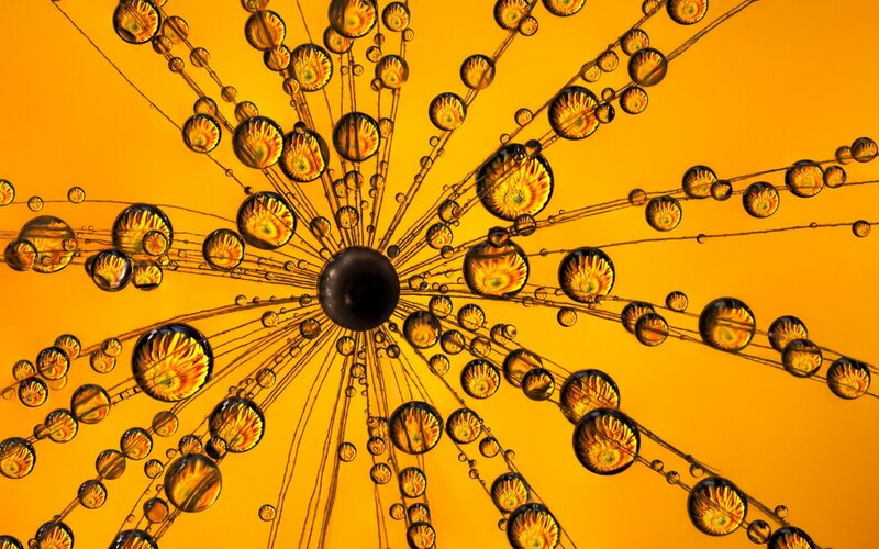 Water Droplets on String — Yellow