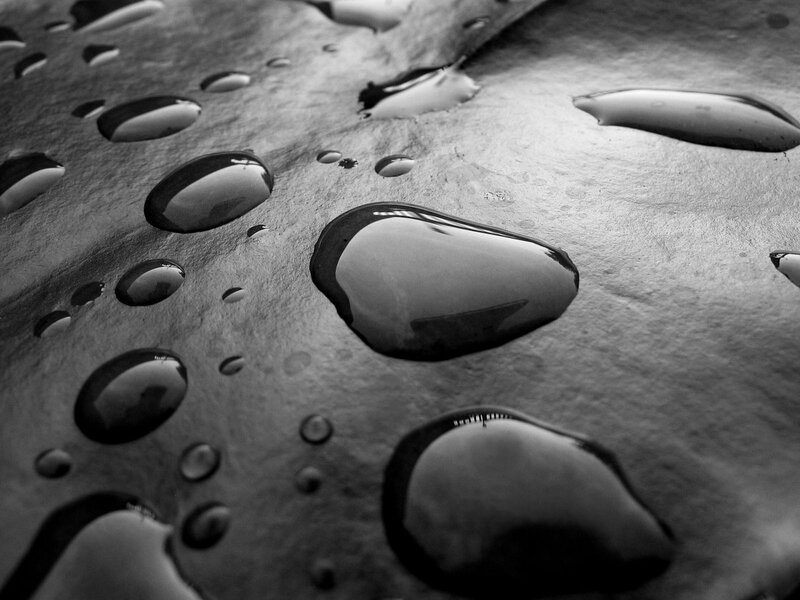 Water Droplets on Surface — Black, Calm, Photograph, Drops, Reflection, White