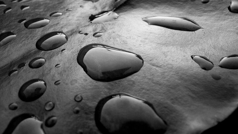 Water Droplets on Surface — Black, Calm, Photograph
