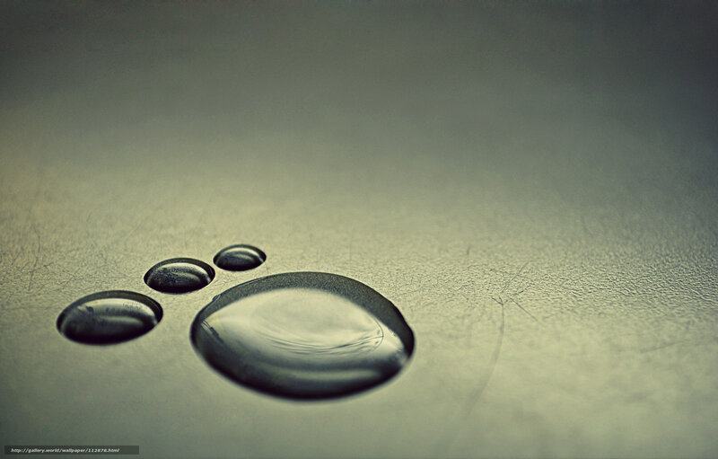 Water Droplets on Surface — Gray, Calm