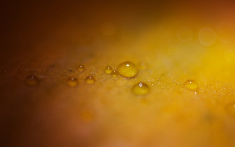 Water Droplets on Surface — Yellow