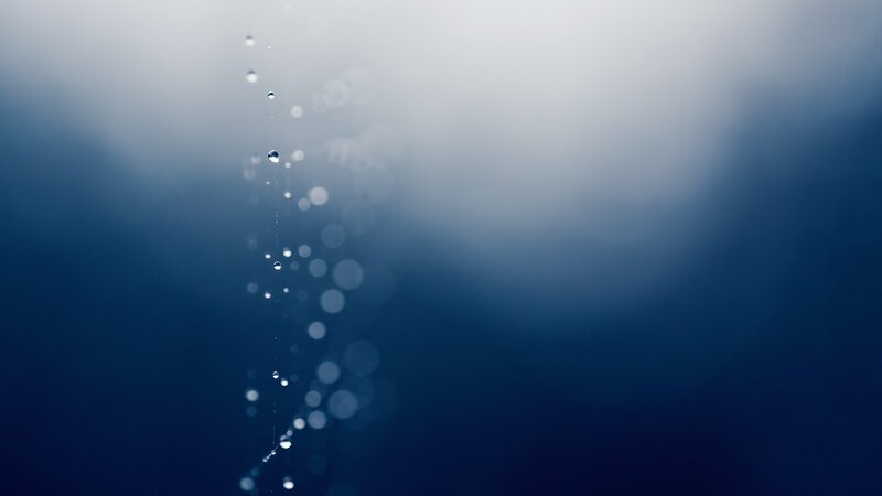 Water Droplets on Web