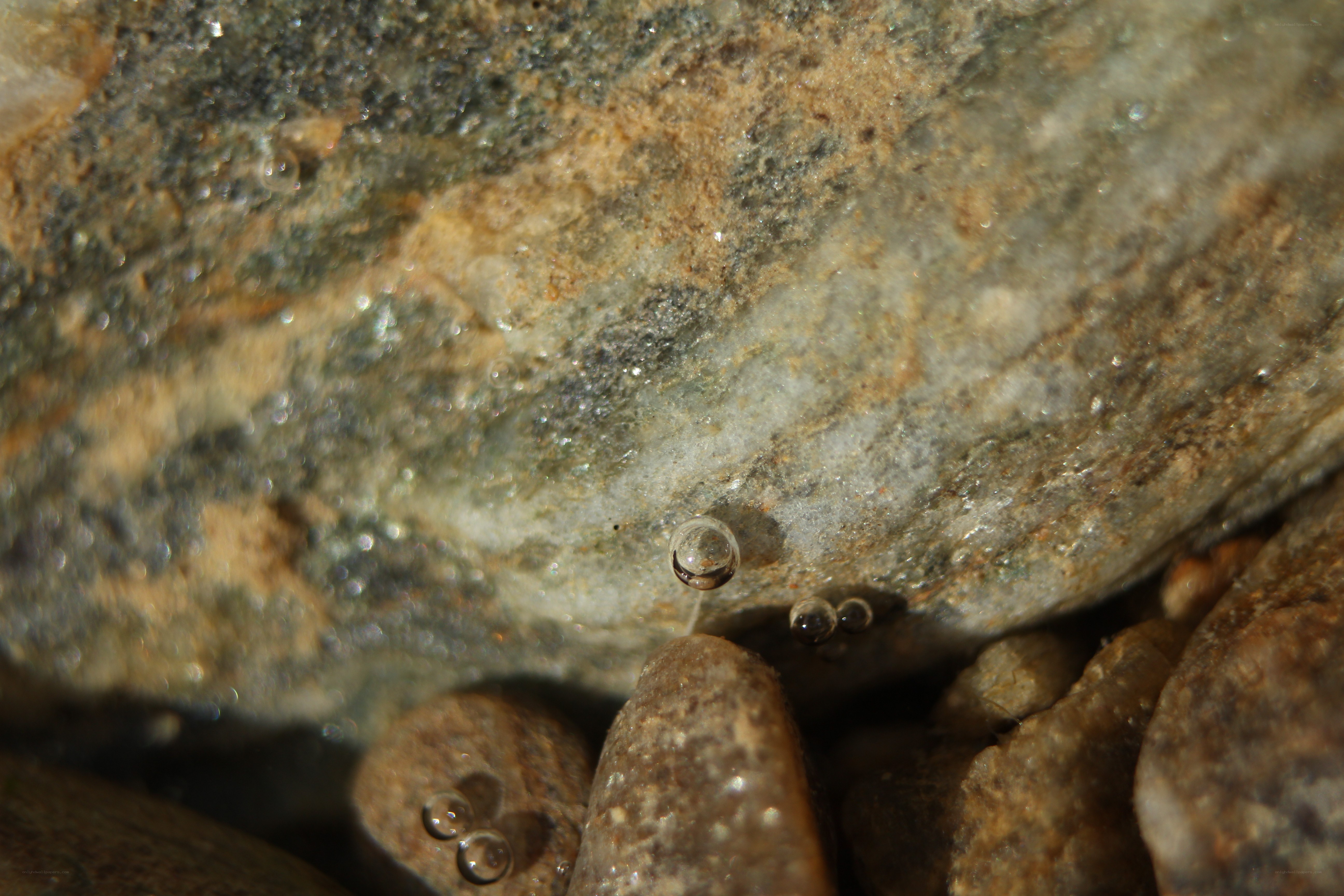 Water droplets on wet rocks