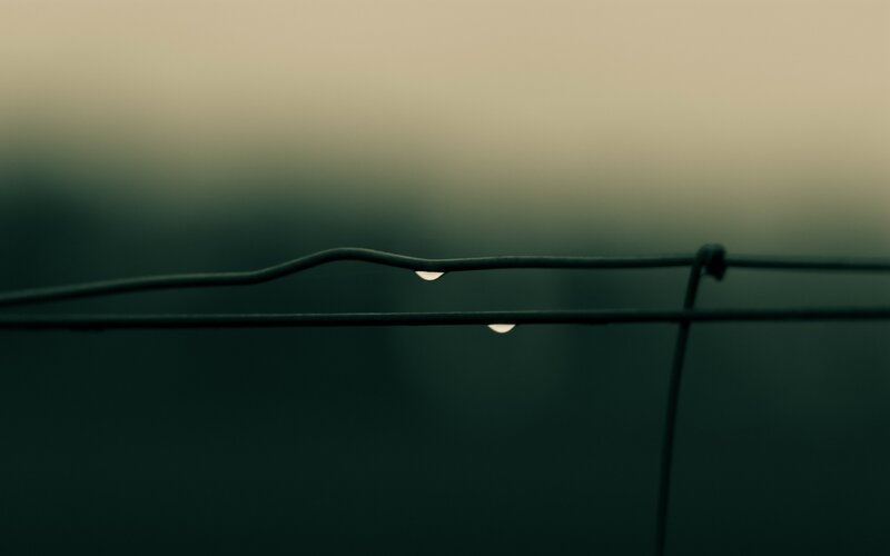 Water droplets on wire fence