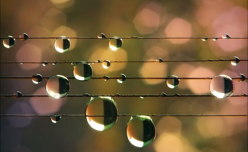 Water Droplets on Wires — Gold