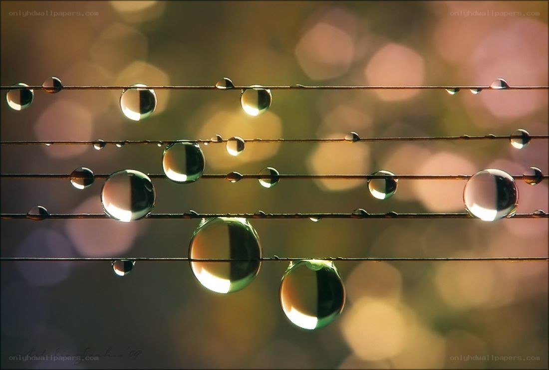 Water droplets on wires