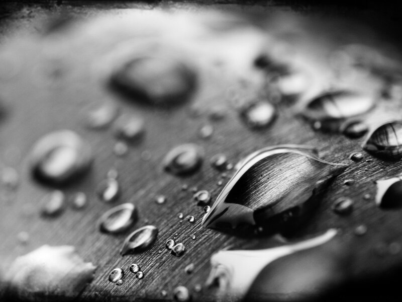 Water Droplets on Wood — Black