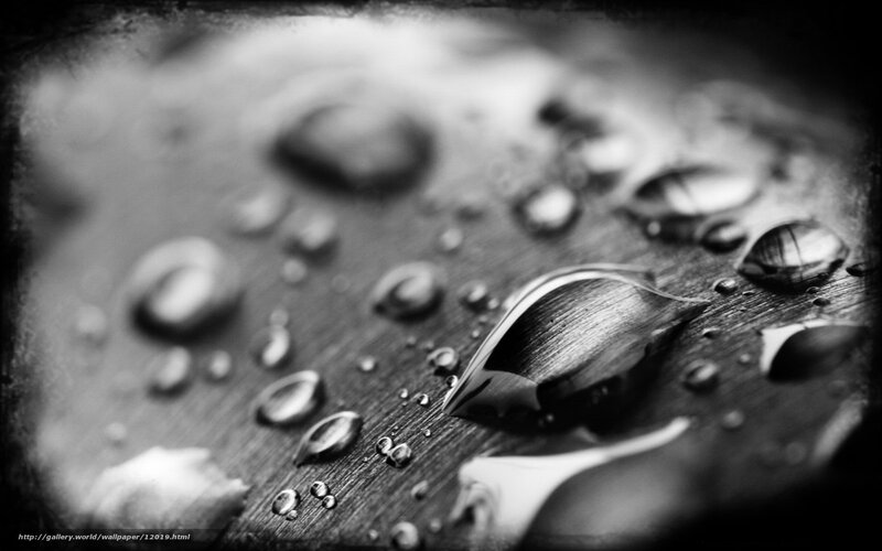 Water droplets on wood surface