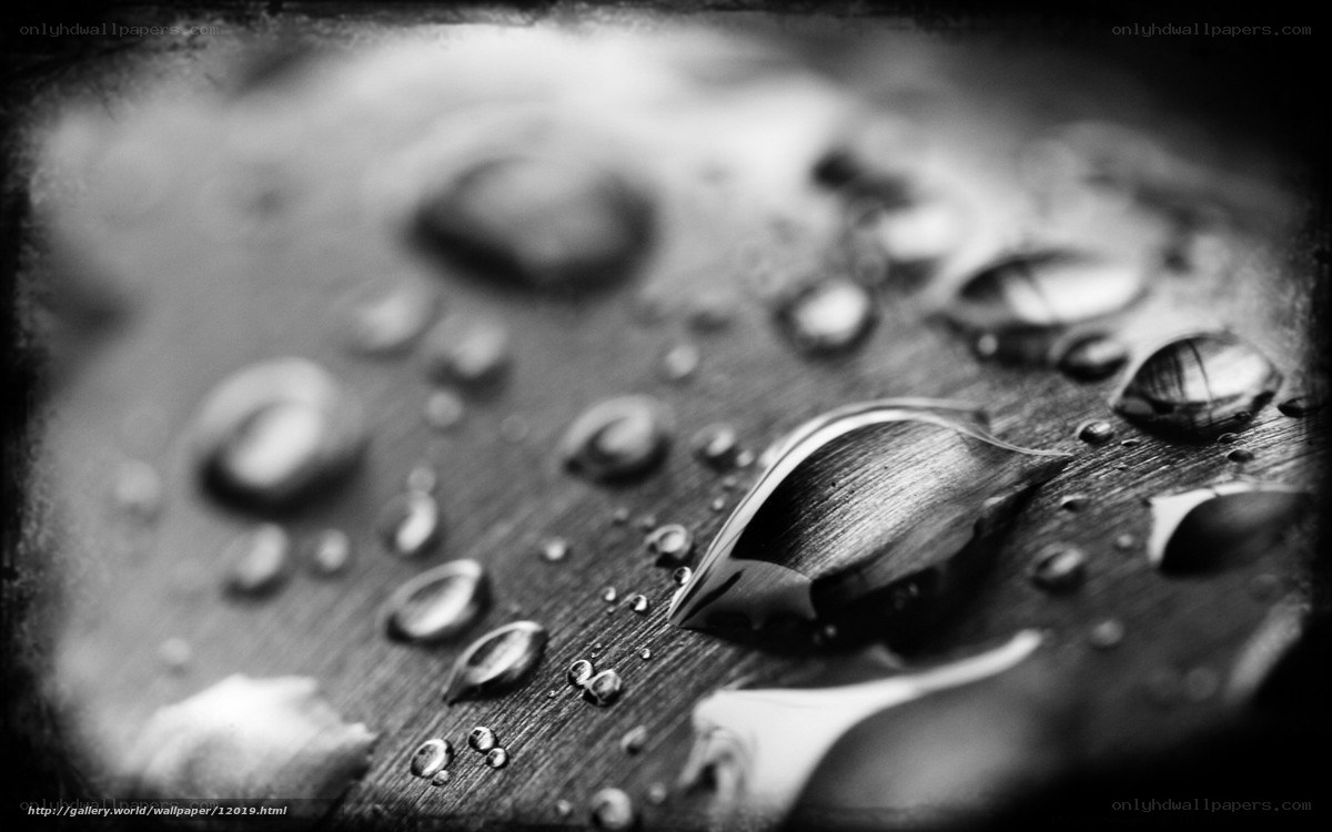 Water droplets on wood surface