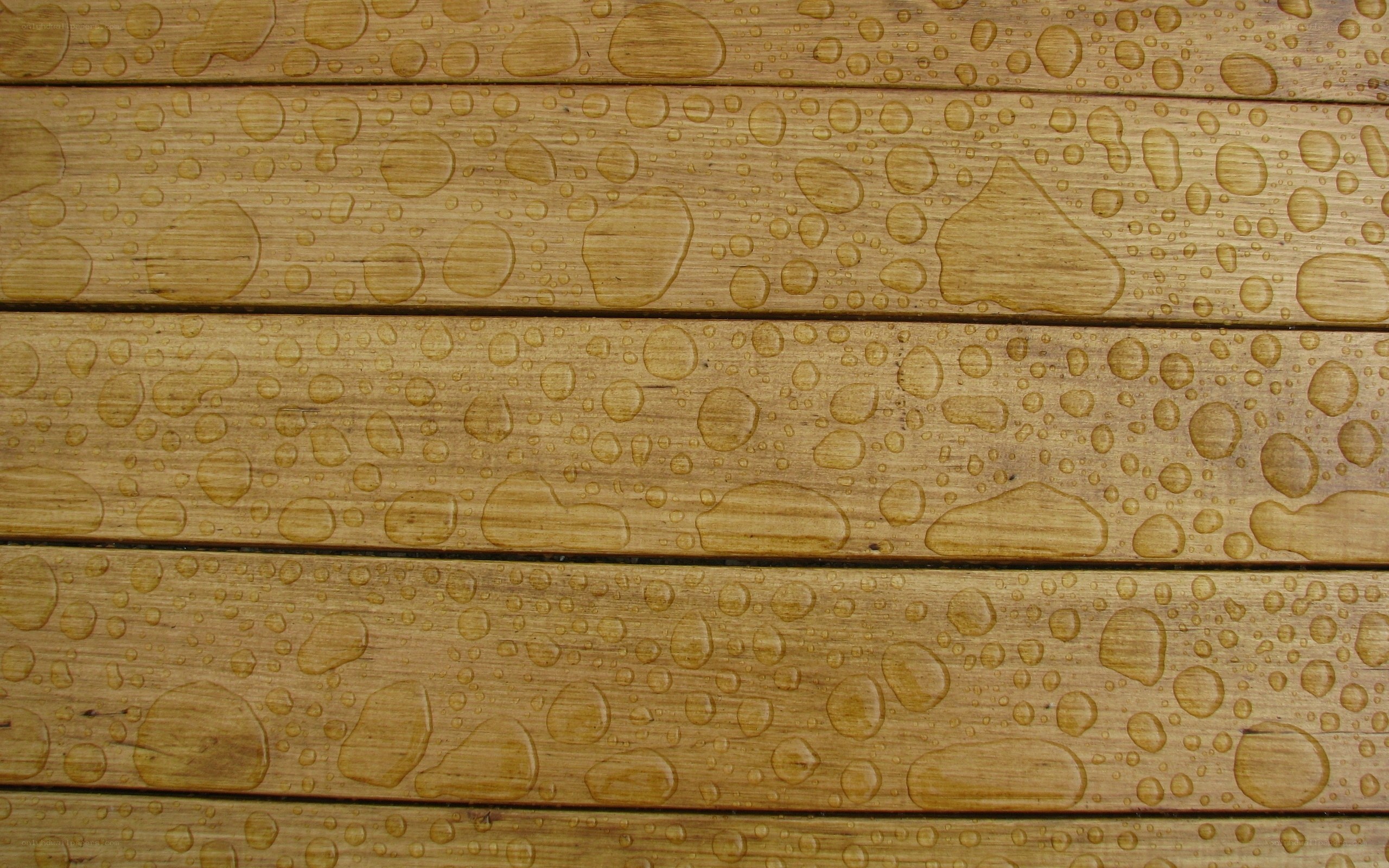 Water droplets on wooden planks