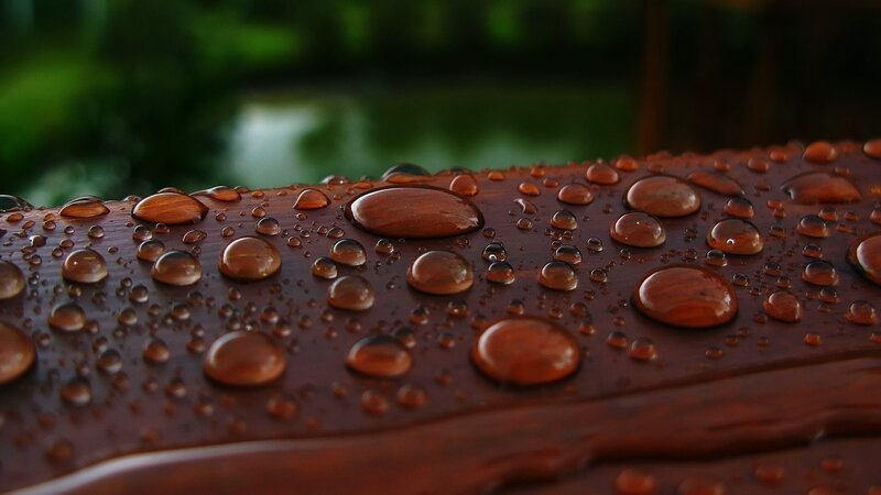 Water droplets on wooden surface