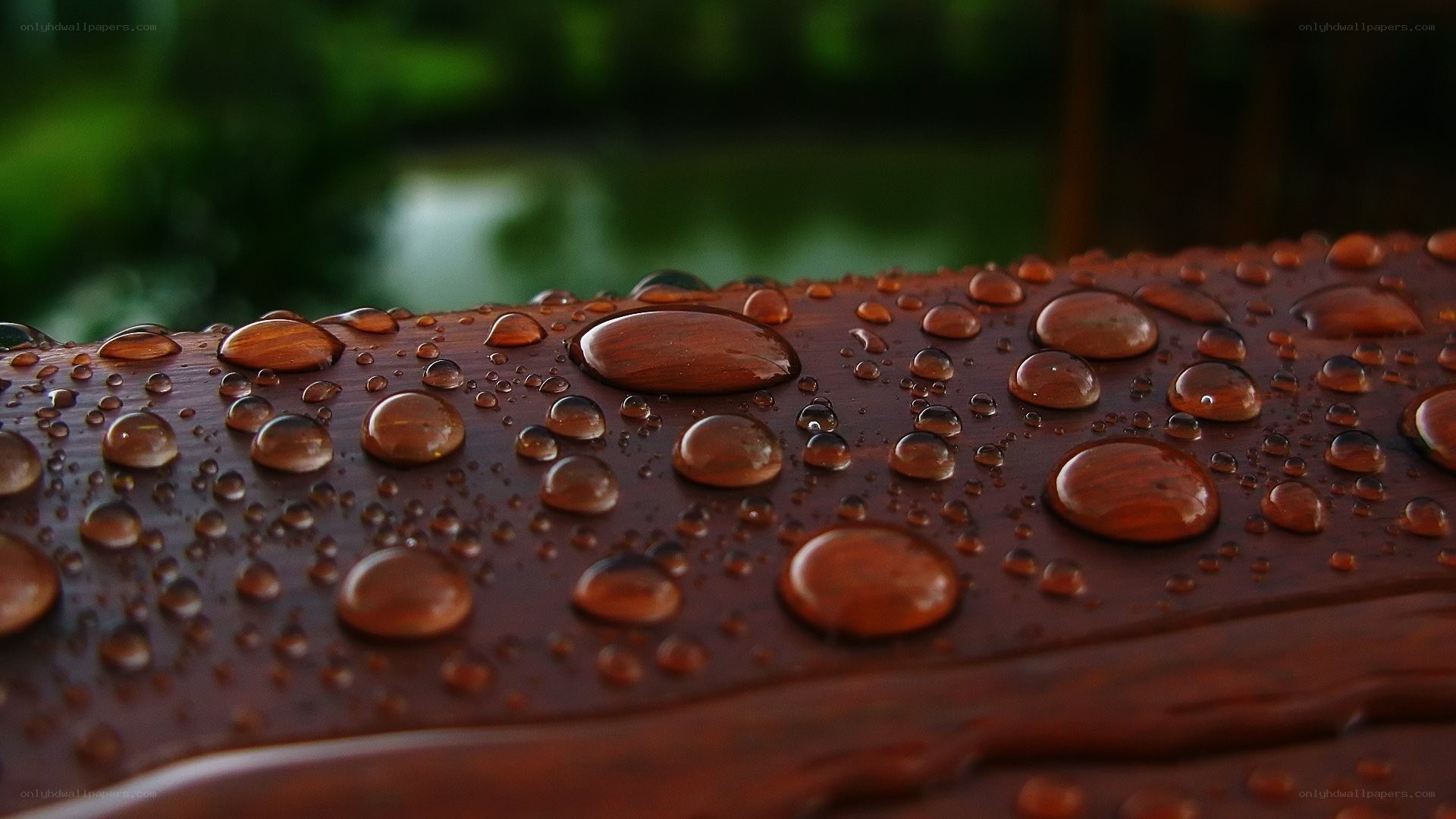 Water droplets on wooden surface