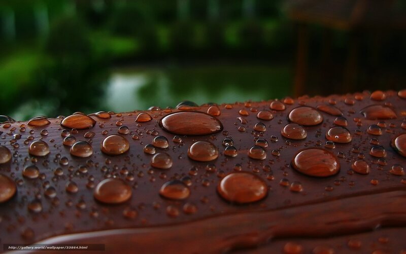 Water droplets on wooden surface