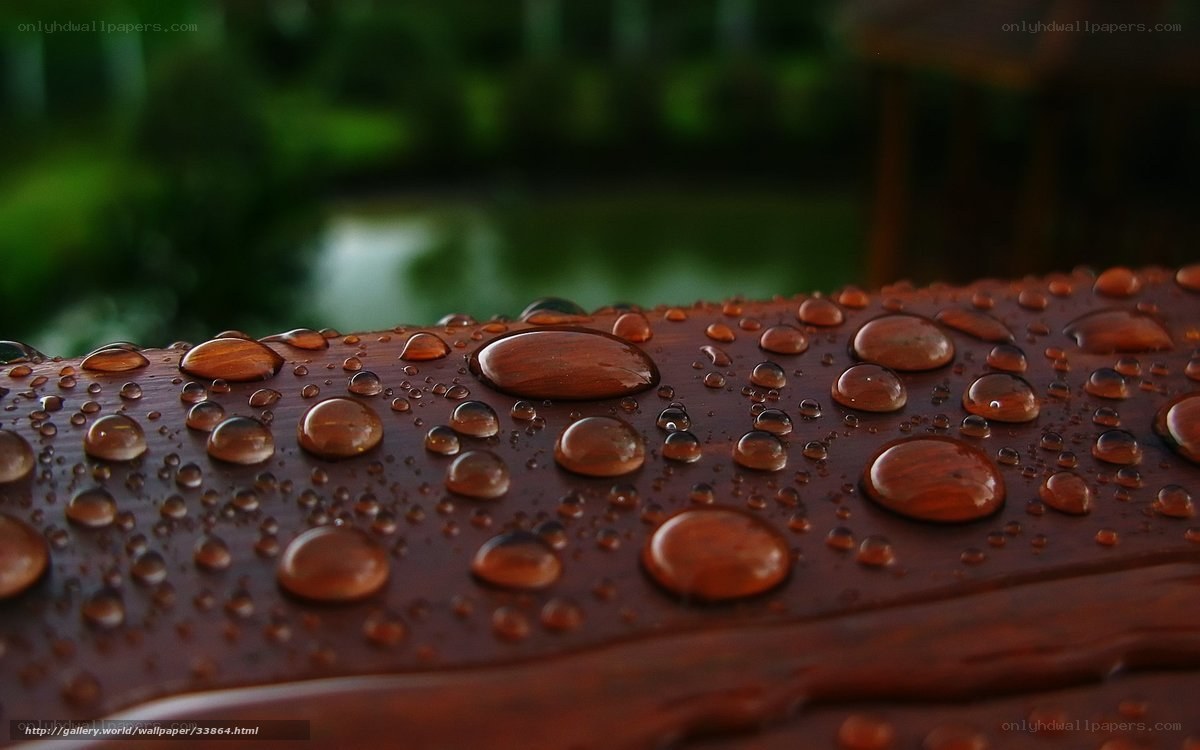 Water droplets on wooden surface