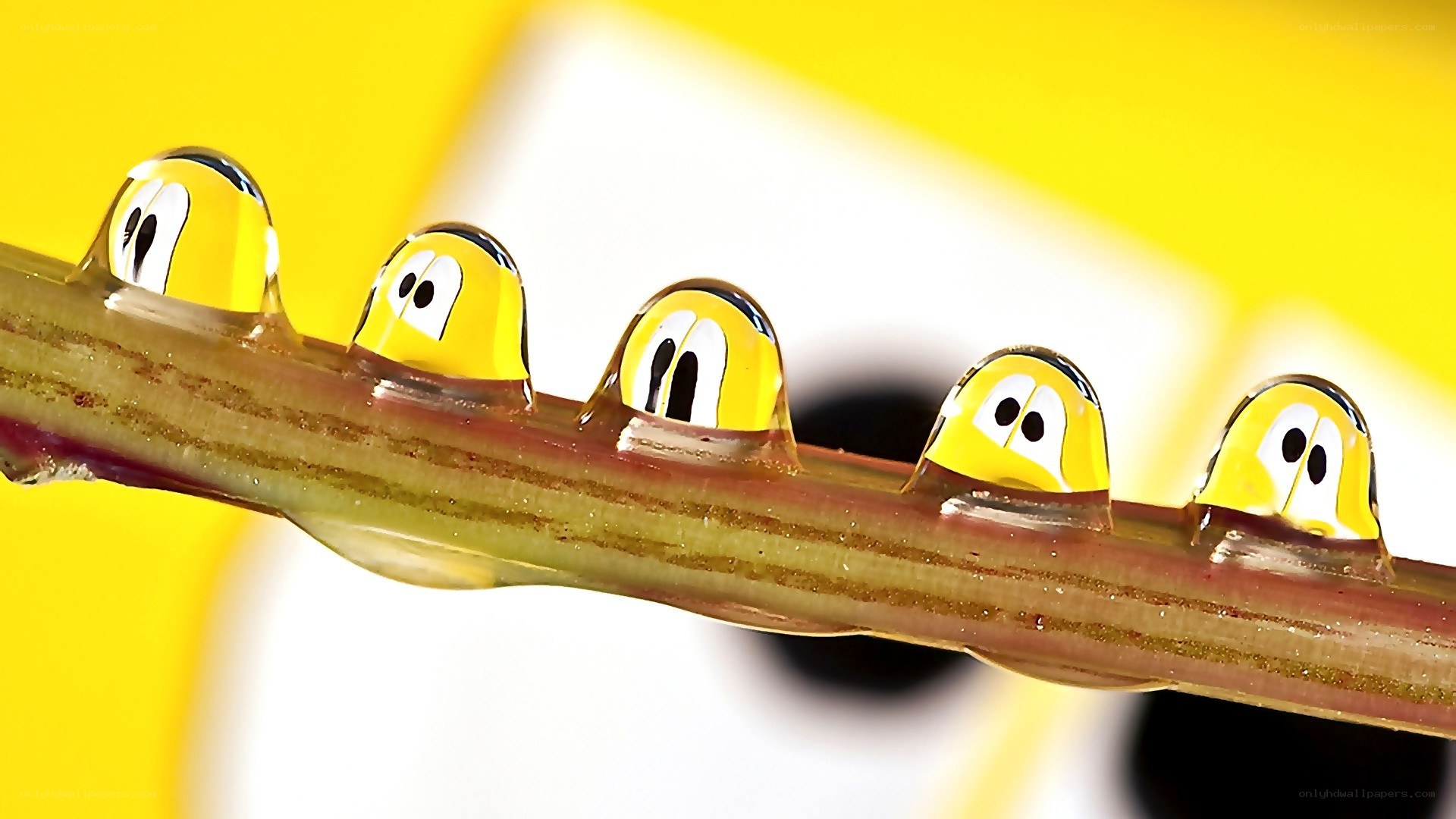 Water droplets with cartoon faces