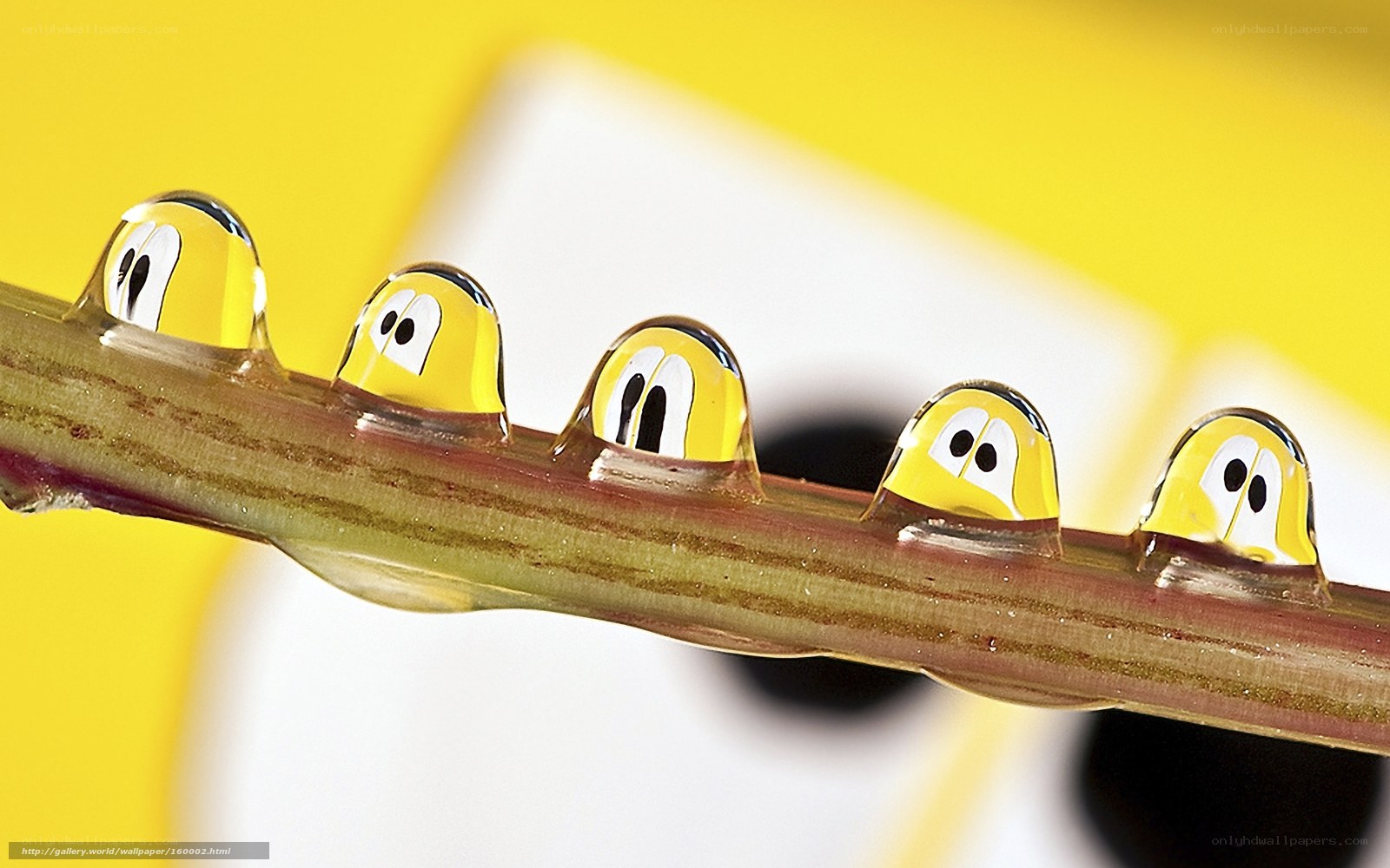 Water droplets with cartoon faces