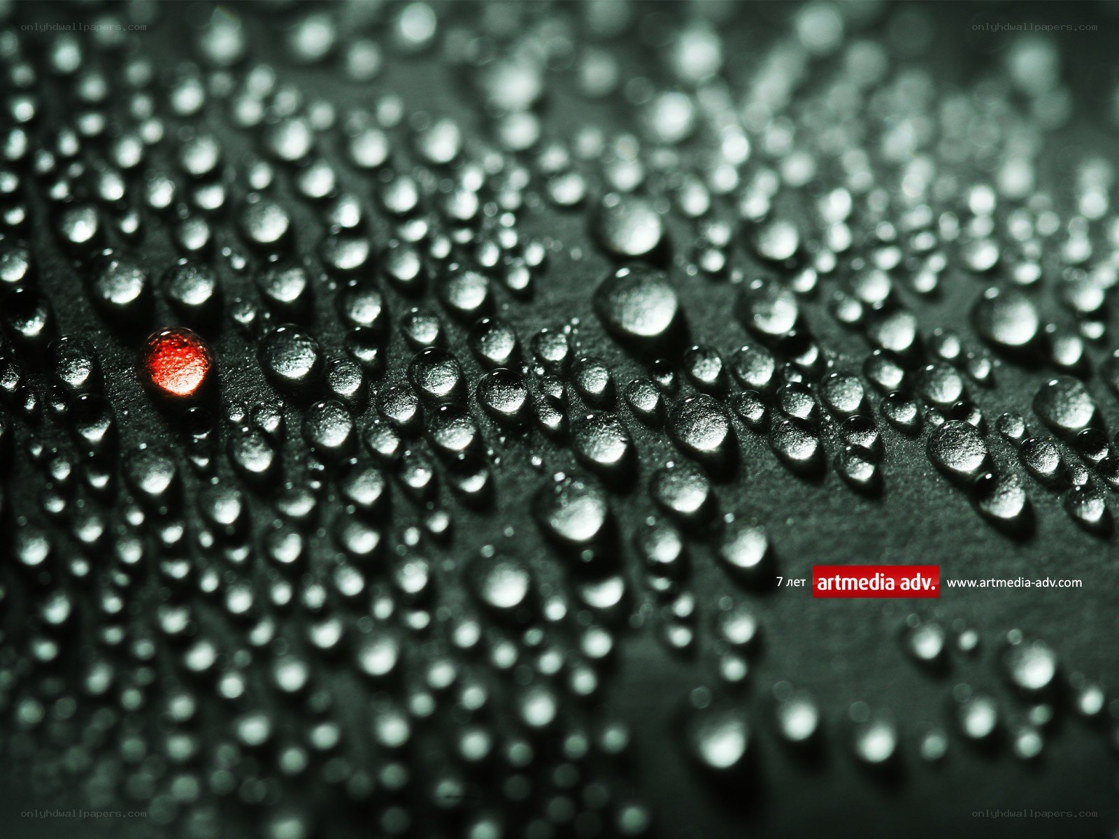 Water droplets with red highlight