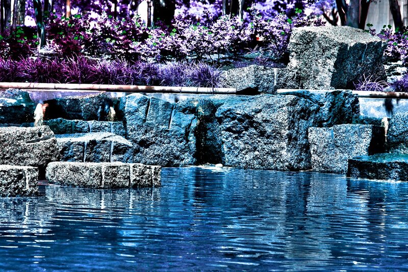 Water feature with purple plants