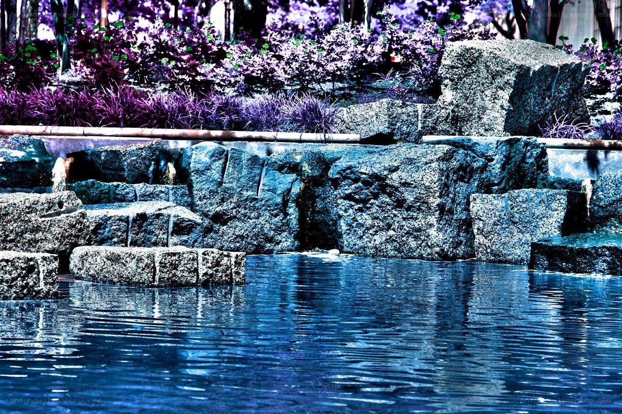 Water feature with purple plants