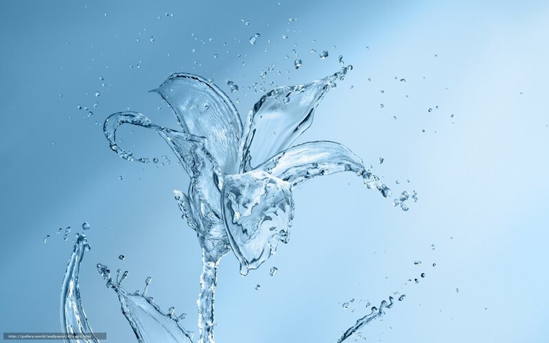 Water flower splash