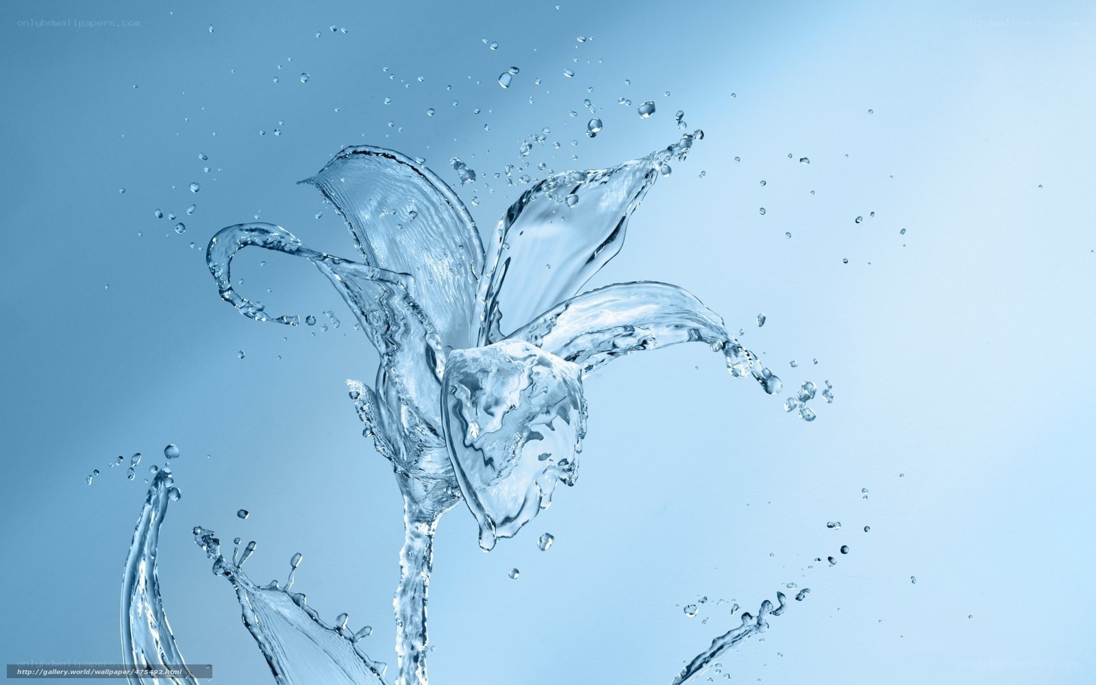 Water flower splash