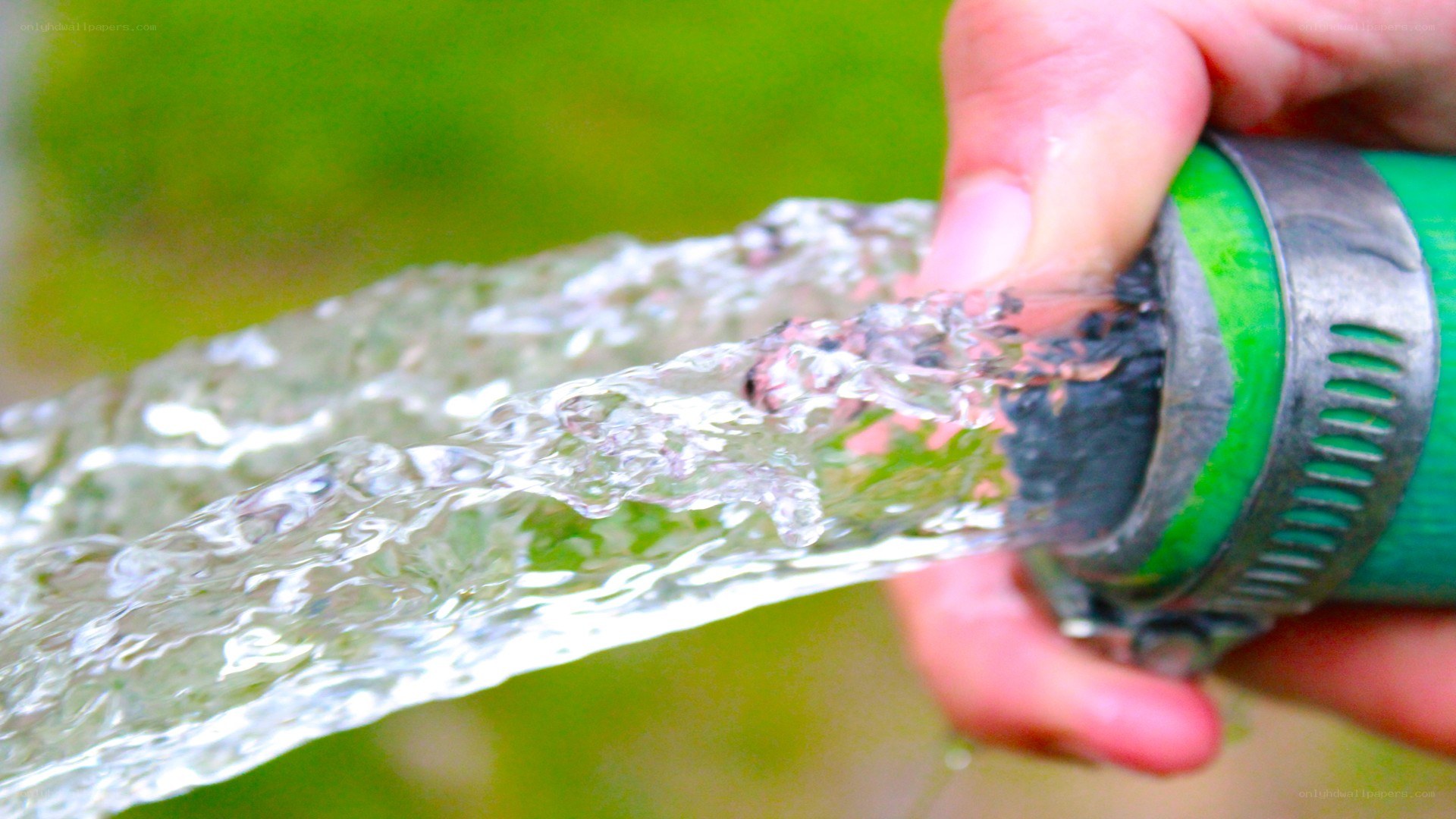 Water flowing from a hose