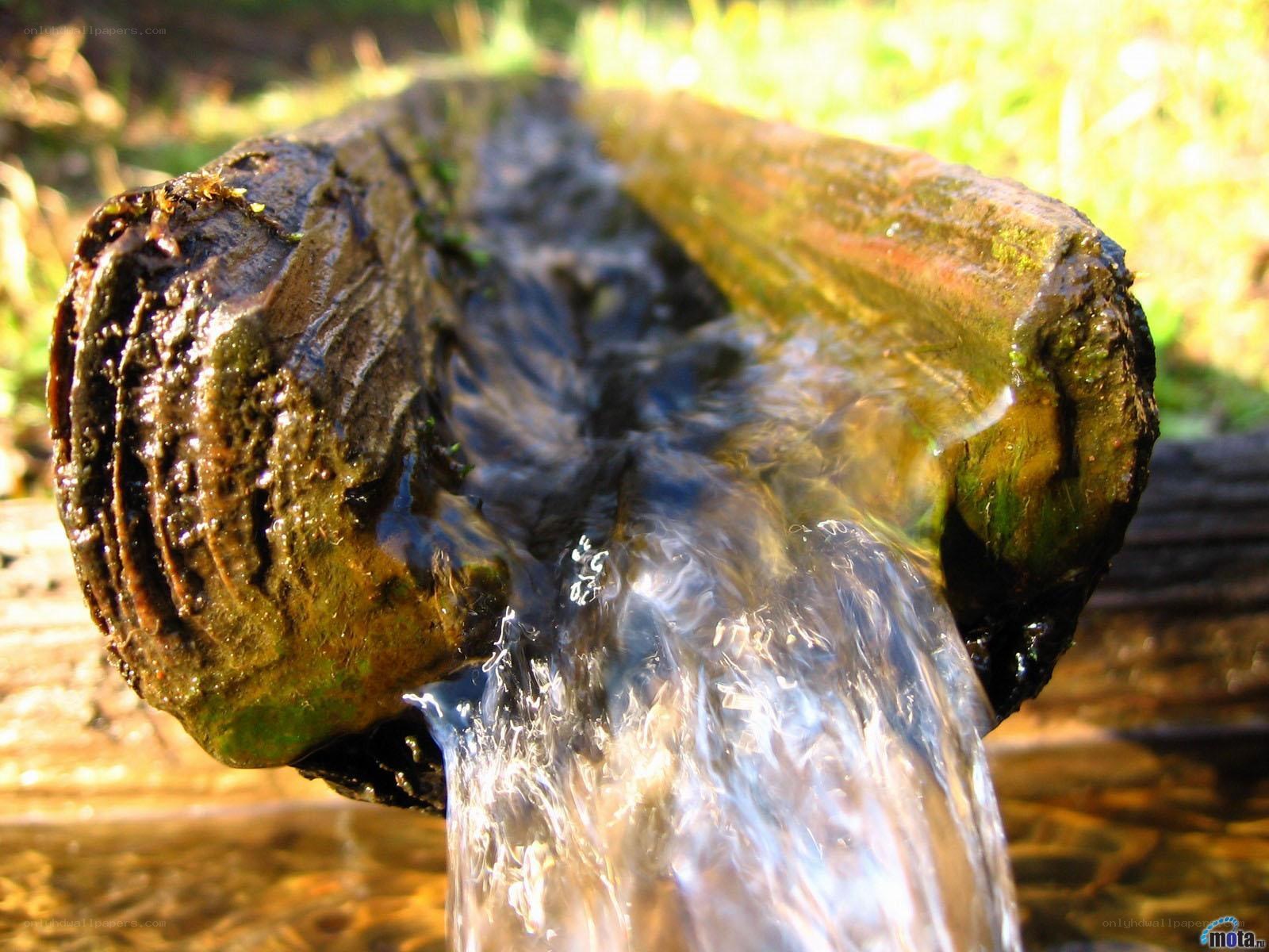 Water flowing from a log