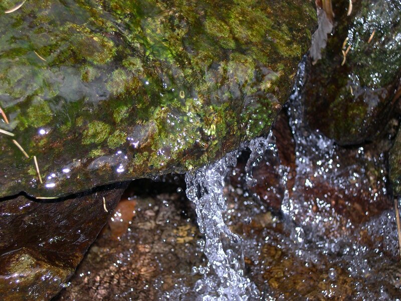 Water flowing over mossy rock