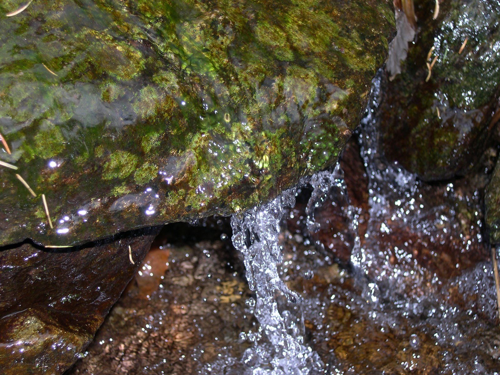 Water flowing over mossy rock