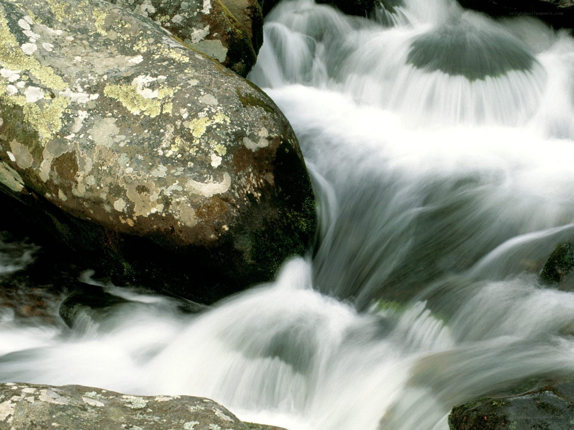 Water flowing over mossy rocks