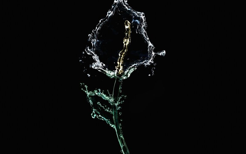 Water forming a flower