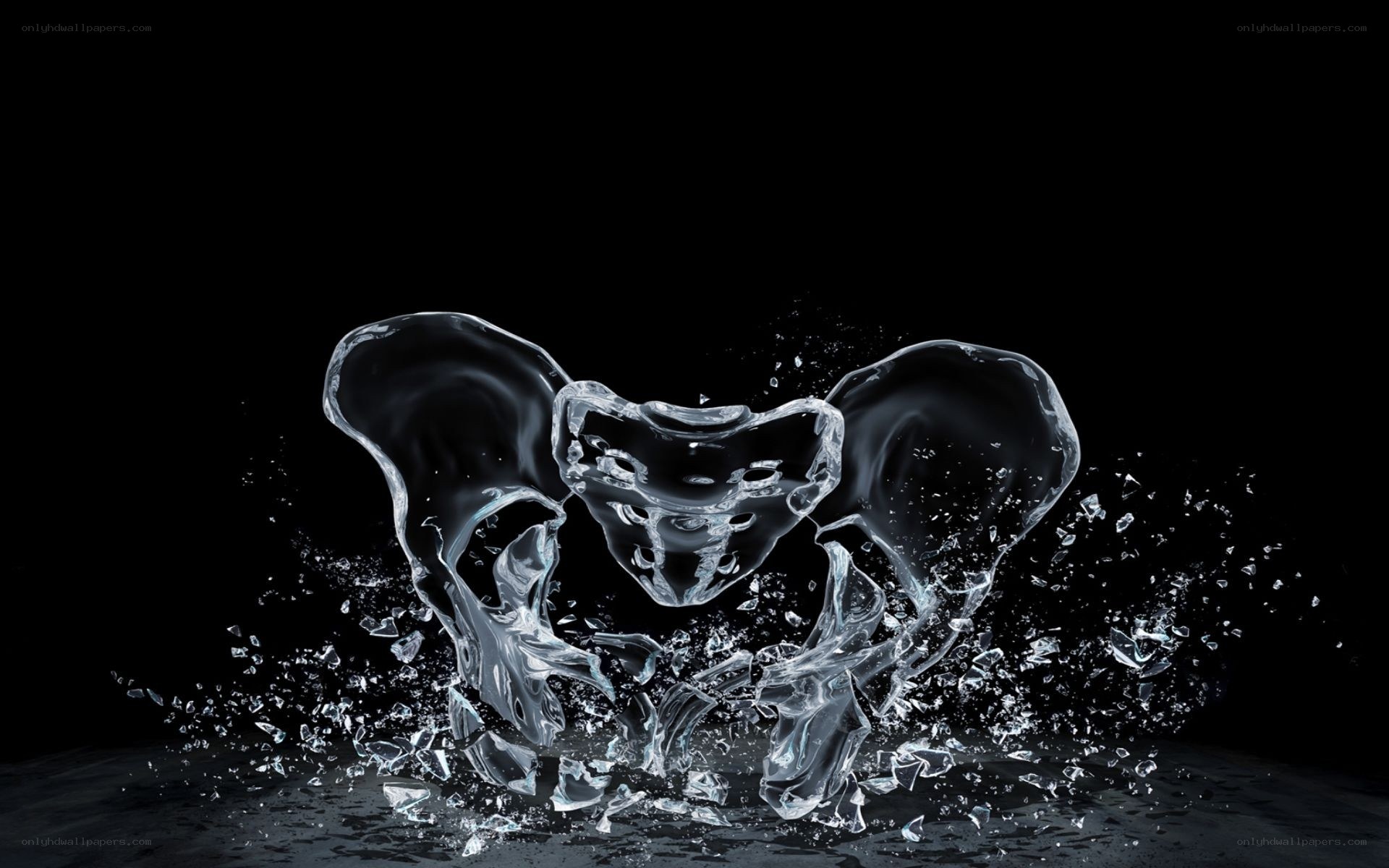 Water forming a pelvis
