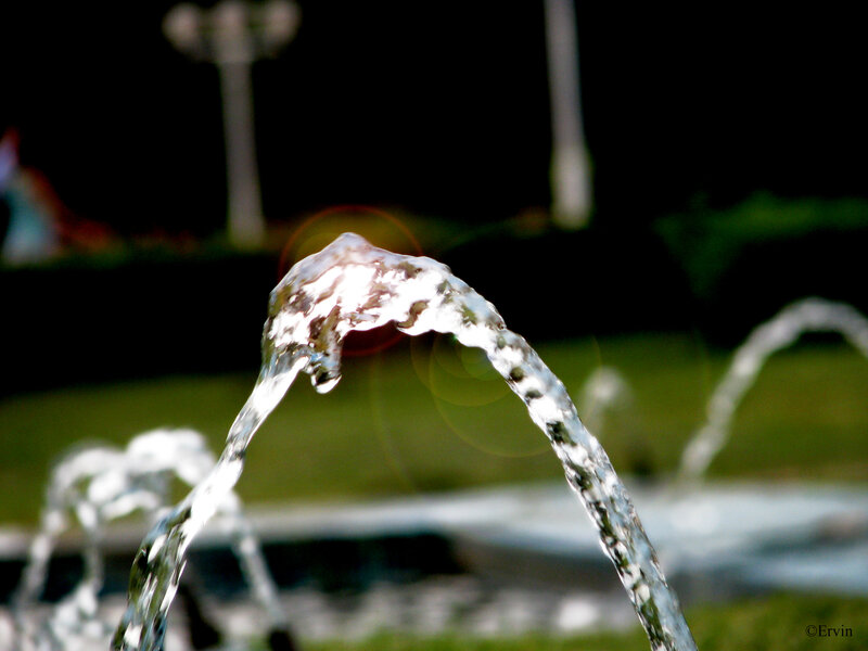 Water fountain at night