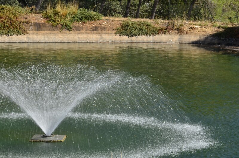 Water fountain in a pond