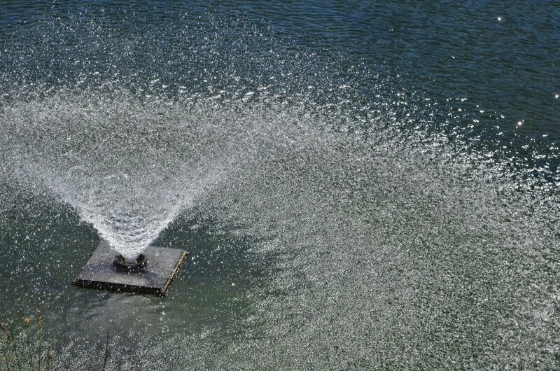 Water fountain in a pond