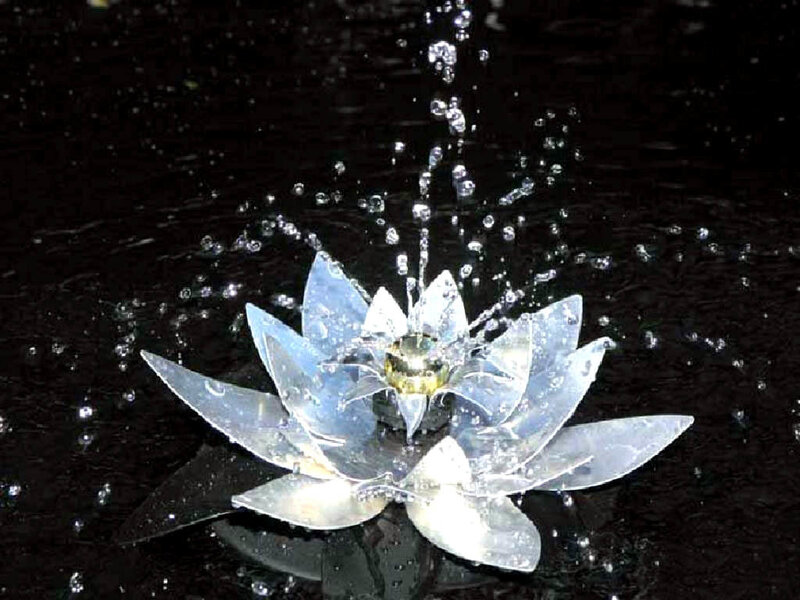 Water fountain in lotus shape