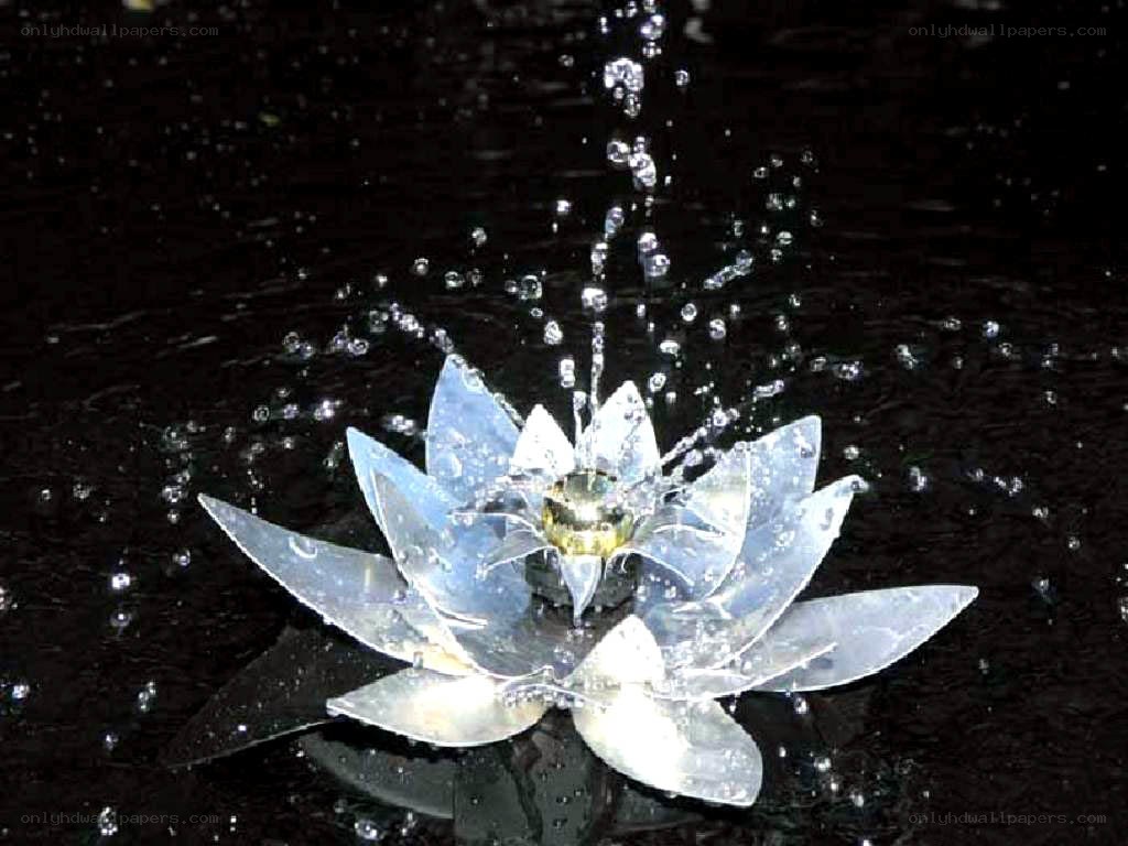 Water fountain in lotus shape