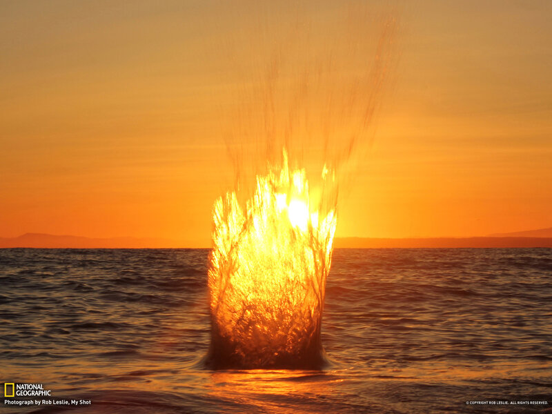 Water Geyser at Sunset