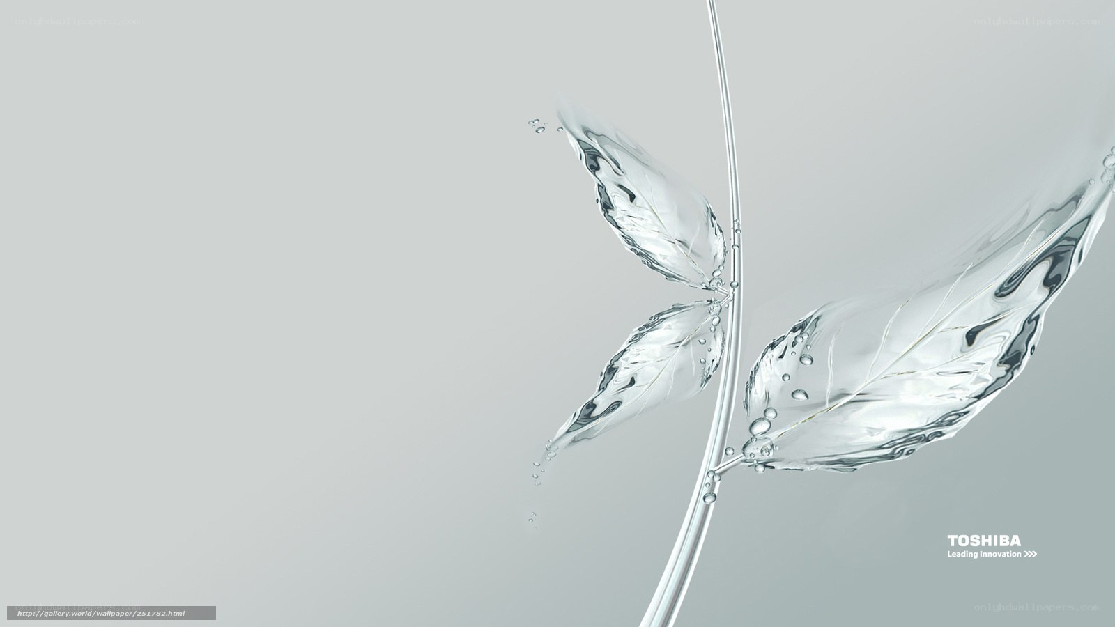 Water leaf design