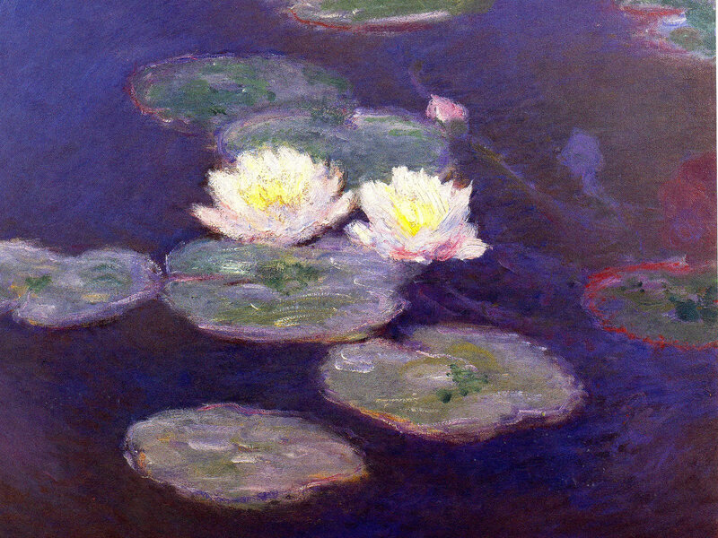 Water Lilies at Dusk