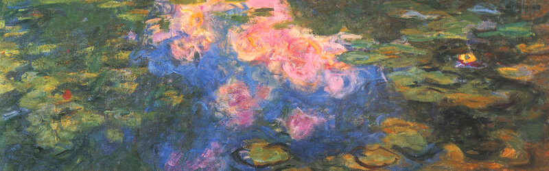 Water lilies in a pond