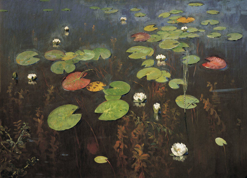 Water lilies in a pond