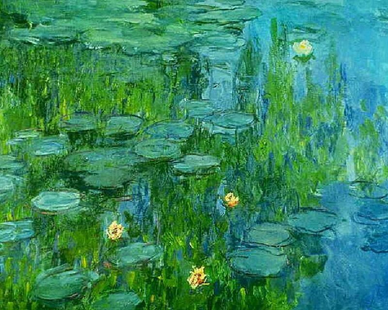 Water Lilies on Pond