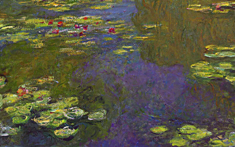 Water Lilies Pond Scene