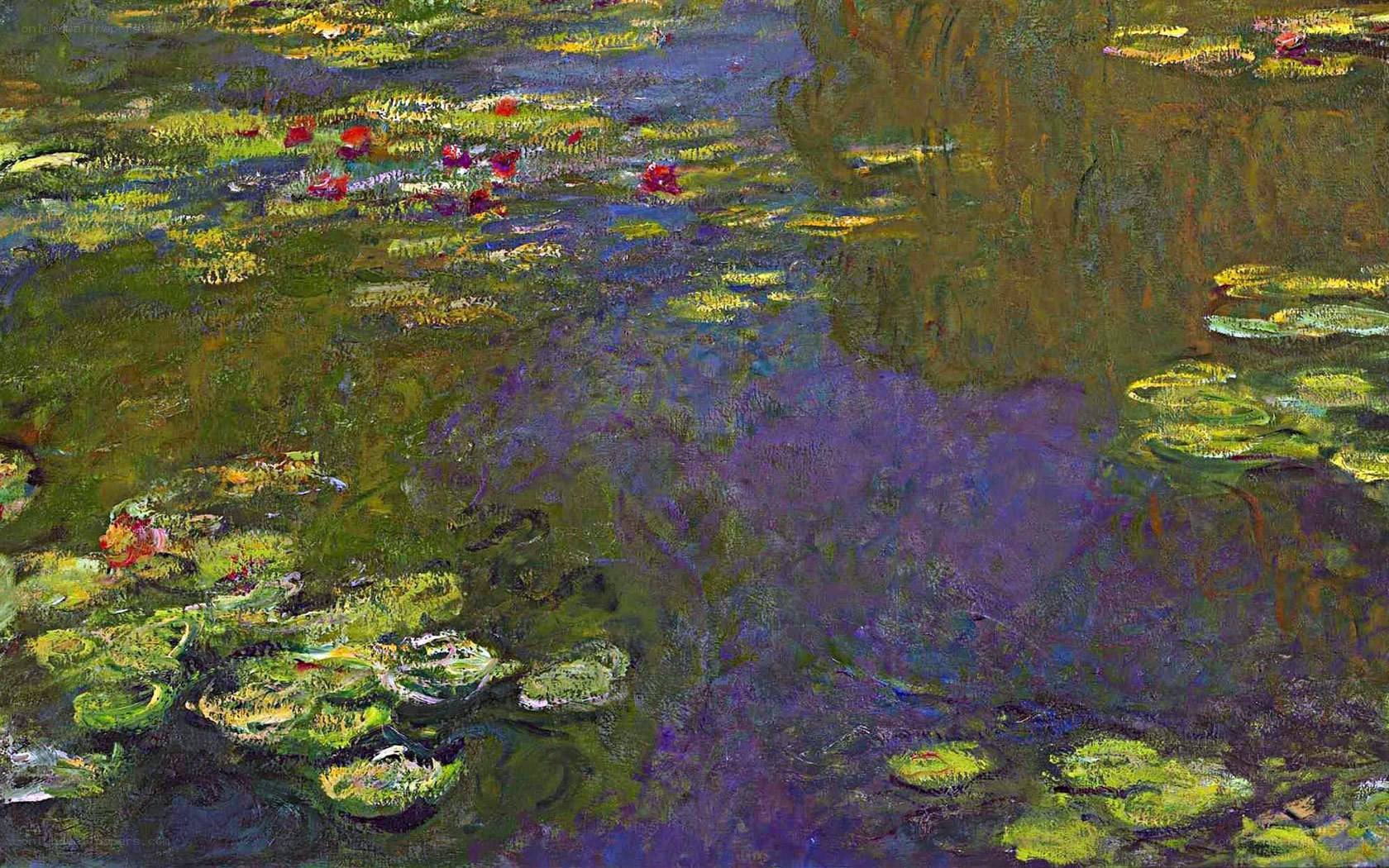 Water Lilies Pond Scene